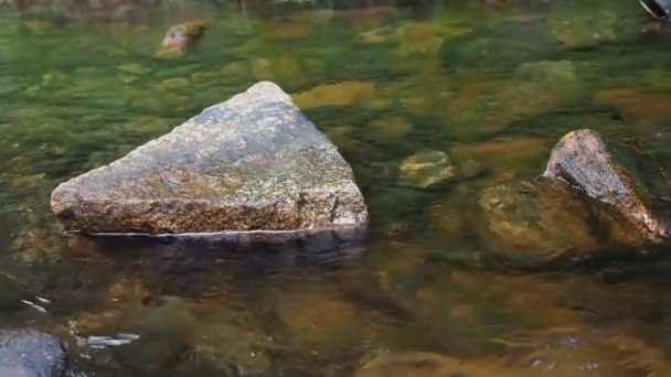 Corriente que fluye entre rocas con sonido auténtico — Vídeo de stock