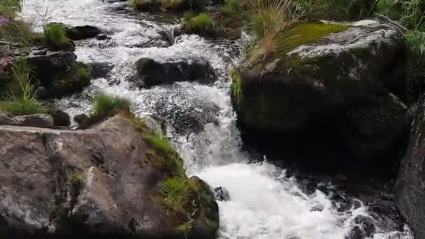 Corriente que fluye entre rocas con sonido auténtico — Vídeo de stock