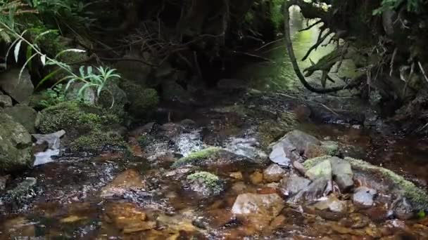 Corriente que fluye entre rocas con sonido auténtico — Vídeo de stock