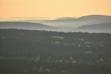 Bir bahar sabahı Appalachian dağlarının üzerinde sis.