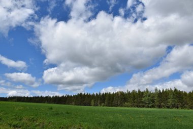 Bulutlu bir gökyüzünün altında baharda bir tarla