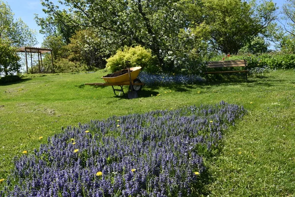 Wheelbarrow Garden Spring — Stock Photo, Image
