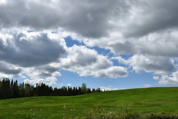 Bulutlu gökyüzünün altında yeşil bir tepe