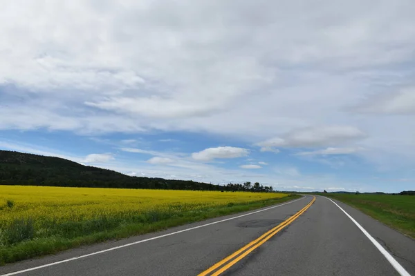 Silnice Křižuje Pole Setí Quebec Kanada — Stock fotografie