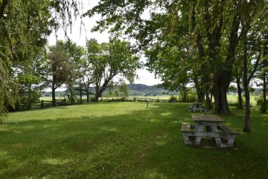 Bir parkta piknik masaları, Quebec, Kanada