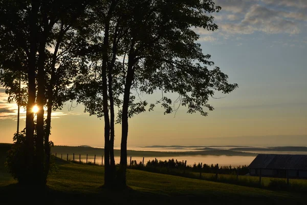 Serin bir temmuz sabahı sis, Sainte-Apolline, Quebec, Kanada