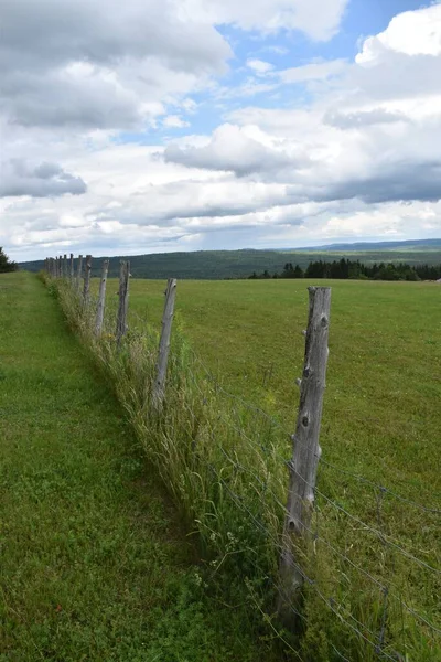 Bulutlu bir gökyüzünün altında bir çit, Sainte-Apolline, Quebec, Kanada