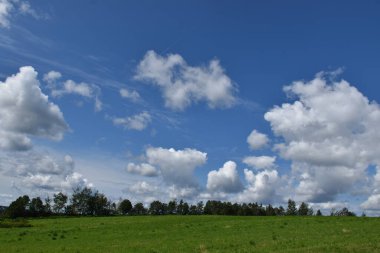 Mavi gökyüzünün altında bir tarla, Quebec, Kanada
