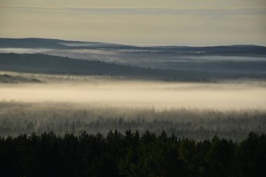 Dağların üzerinde sis, Sainte-Apolline, Quebec, Kanada