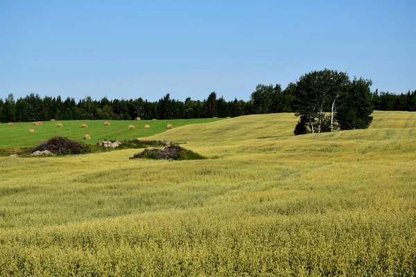 Tarım alanları, Quebec, Kanada