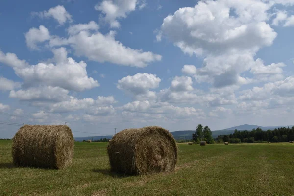 Tarladaki saman yığınları, Sainte-Apolline, Quebec, Kanada