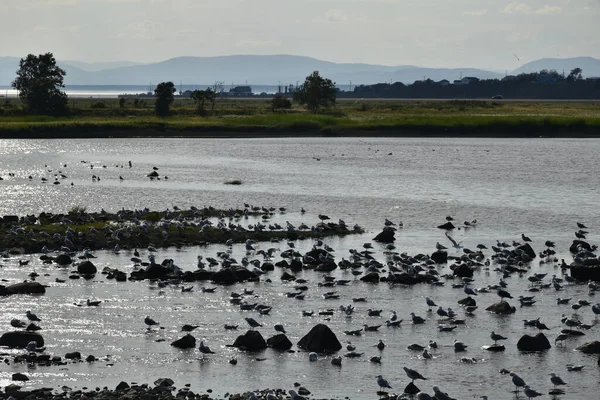 Goelonds Fluss Riviere Loup Quebec Kanada — Stockfoto