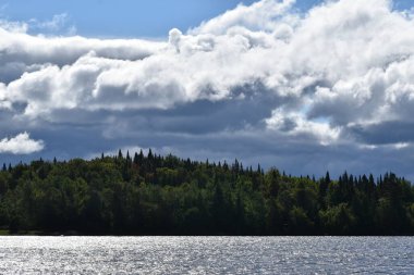 Gölün kenarındaki orman, Sainte-Apolline, Quebec, Kanada