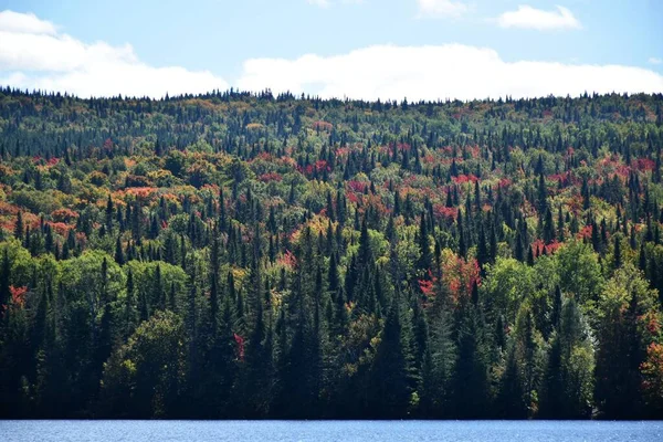 Ένα Μικτό Δάσος Φθινόπωρο Δίπλα Στη Λίμνη Sainte Apolline Κεμπέκ — Φωτογραφία Αρχείου