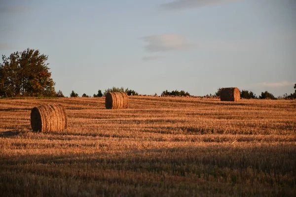 Haystacks Φθινόπωρο Sainte Apolline Κεμπέκ Καναδάς — Φωτογραφία Αρχείου