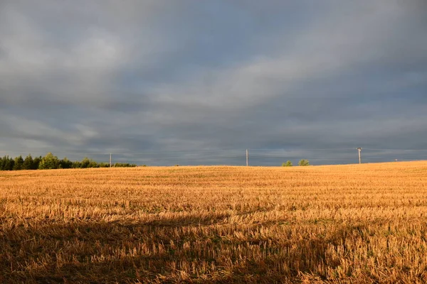 Bir Sonbahar Sabahı Hasattan Sonra Bir Tarla Sainte Apolline Quebec — Stok fotoğraf