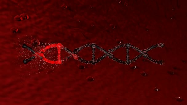 人体内的有机Dna分子 — 图库视频影像