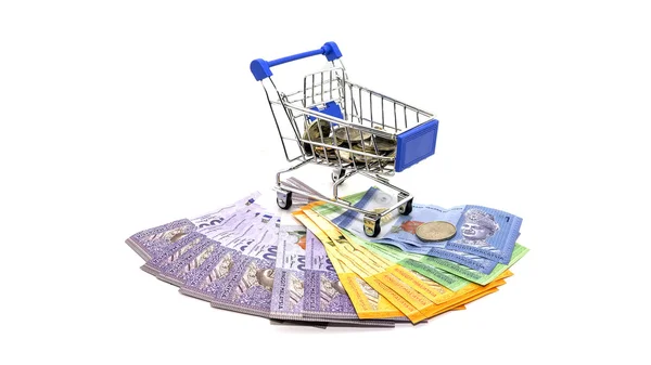 Carritos de supermercado, dinero en efectivo de Malasia. concepto de negocios en línea —  Fotos de Stock