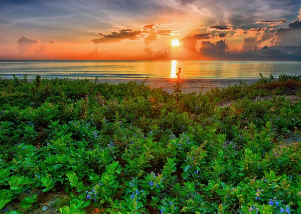 在 Hdr 的中国海上日出 — 图库照片