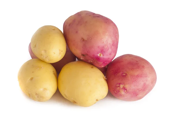 Potato — Stock Photo, Image