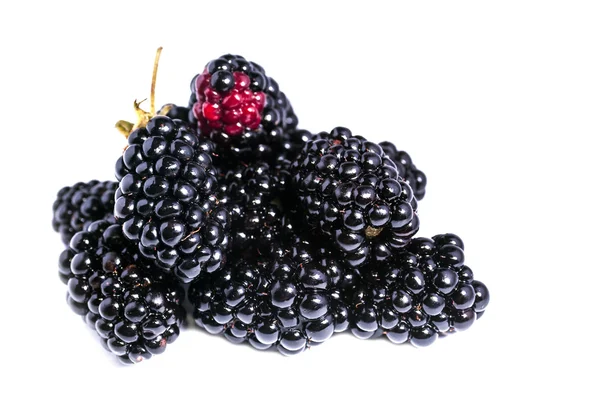 The blackberry berry — Stock Photo, Image