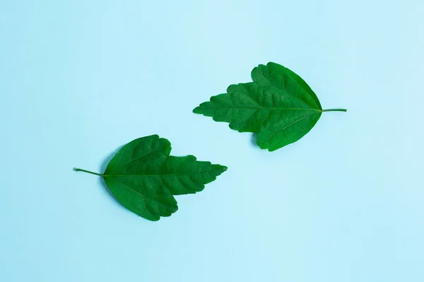 Comparison of Two Objects Blocks Pencils Sticker Notes Facing Inward Outward Making An Arrangement Reflection On a Separated Coloured Background Shot In A Flat Lay Perspective