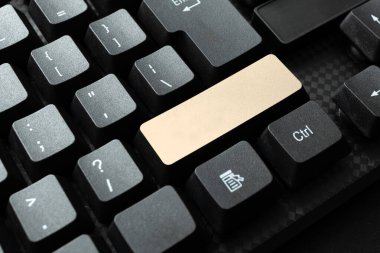 Analog Veri Dijital Ortamı Dönüştürülmesi, Forum Faydalı İpuçları Yazılması, Siber İş Varlığının Yayılması, Bilgi Toplama Fikirleri, İnternet Sohbeti Etkinlikleri