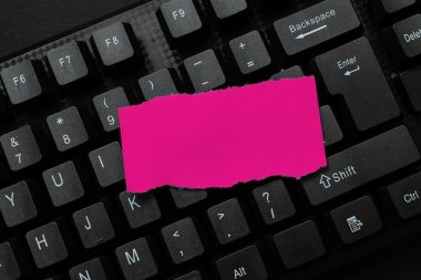 Çevrimiçi Yazı Servisleri Oluşturma, Bilgisayar Programı Kodları Öğrenme, Güvenli Web Sitesi Eylemleri, Modern Yazma Aracı, Bilgi Toplama Fikirleri, Küresel Bağlantılar