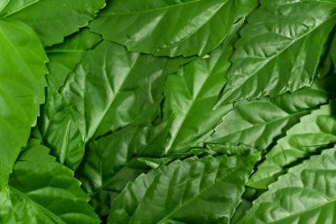 Doğa Koruma Fikirleri, Çevre Koruma Planları, Organik Malzemeler, Bahçe Tasarımları Planlama, Doğal Kaynakların Korunması, Bahar Zamanı Fikri