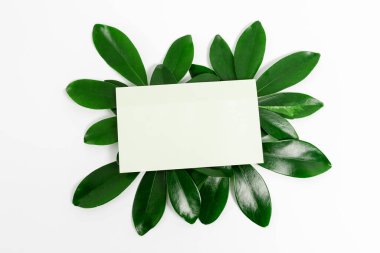 Doğa Teması Sunum Fikirleri Tasarımları, Yenilenebilir Malzemeleri Gösterme, Sürdürülebilir Ürünler Oluşturma, Organik Malzemeler, Bahçe Tasarım Planlama, Bahar Zamanı Fikri