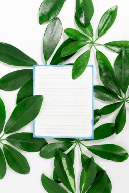 Çevre Fikirleri Tasarruf Planları, Sürdürülebilir Ürünler Oluşturma, Organik Malzemeler, Bahçe Tasarımları Planlama, Doğal Kaynakların Korunması, Bahar Zamanı Fikri