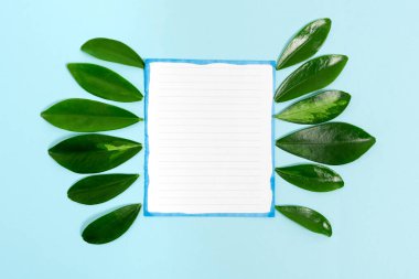 Doğa Teması Sunum Fikirleri Tasarımları, Yenilenebilir Malzemeleri Gösterme, Sürdürülebilir Ürünler Oluşturma, Organik Malzemeler, Bahçe Tasarım Planlama, Bahar Zamanı Fikri