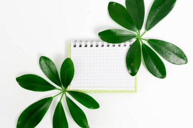 Çevre Fikirleri Tasarruf Planları, Sürdürülebilir Ürünler Oluşturma, Organik Malzemeler, Bahçe Tasarımları Planlama, Doğal Kaynakların Korunması, Bahar Zamanı Fikri