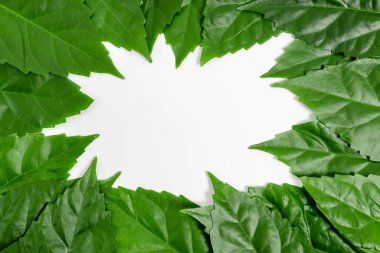 Doğa Koruma Fikirleri, Çevre Koruma Planları, Organik Malzemeler, Bahçe Tasarımları Planlama, Doğal Kaynakların Korunması, Bahar Zamanı Fikri