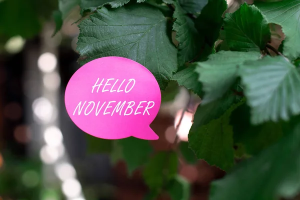 Bildunterschrift: Hallo November. Wort zur Begrüßung des elften Monats des Jahres: Neue Ideen, die Kreativität und Inspiration erneuern — Stockfoto