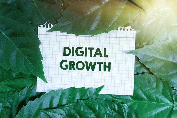 デジタル成長を示すテキスト記号。ビジネスの発展の初期段階を意味する概念共有されたビジョン自然保護の考え方、新しい環境保全計画 — ストック写真