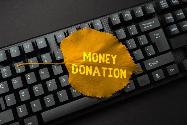 Conceptual caption Money Donation. Word Written on a charity aid in a form of cash offered to an association Typing Cooking Instructions And Ingredient Lists, Making Online Food Blog