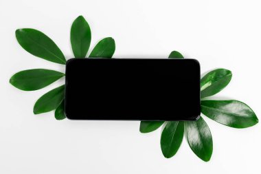 Doğa Teması Sunum Fikirleri Tasarımları, Yenilenebilir Malzemeleri Gösterme, Sürdürülebilir Ürünler Oluşturma, Organik Malzemeler, Bahçe Tasarım Planlama, Bahar Zamanı Fikri