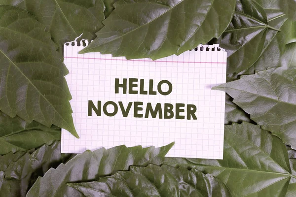 Conceptual display Hello November. Word for greeting used when welcoming the eleventh month of the year Nature Conservation Ideas, New Environmental Preservation Plans — Stockfoto