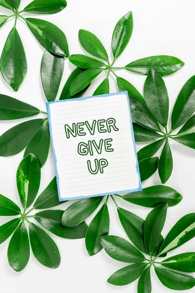 Sign displaying Never Give Up. Conceptual photo be persistent to keep on trying to improve the condition Saving Environment Ideas And Plans, Creating Sustainable Products — Stock Photo, Image