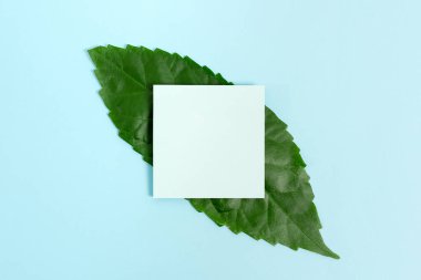 Doğa Teması Günlük Kaydı Oluşturma, Çevre Kaybını Önleme, Yenilenebilir Malzemeleri Gösterme, Yenilenebilir Ürünler Oluşturma, Organik Malzemeler, Bahçe Tasarımı Planlama
