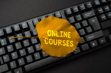 Çevrimiçi kursları gösteren bir ilham kaynağı. İnternet Daktilo Talimatları ve İçindekiler Listeleri üzerinden yürütülen, Çevrimiçi Gıda Bloğu Yapan bir eğitim alma fikri