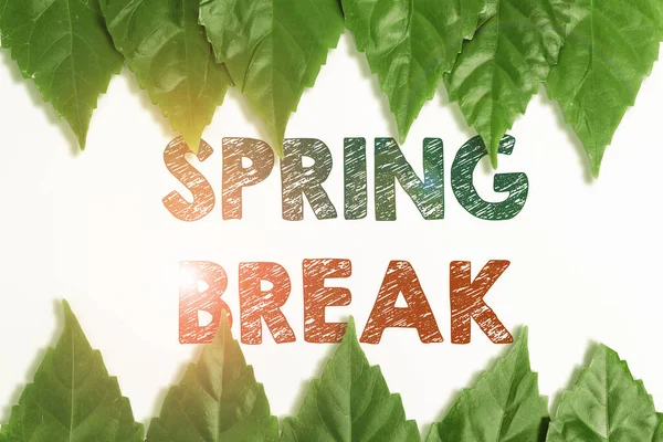 Panneau montrant Spring Break. Mot écrit sur la période des vacances à l'école et les universités au printemps Sauver l'environnement Idées et plans, Création de produits durables — Photo