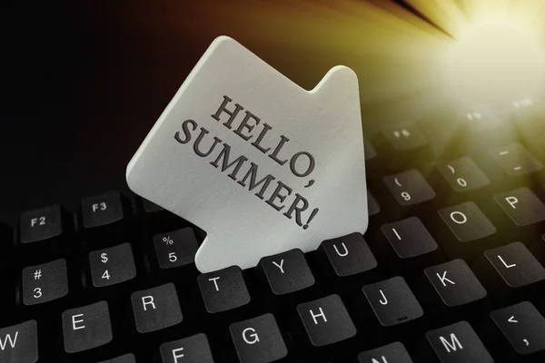 Segno di scrittura a mano Ciao, Summer. Business approach greeting used when the hot season of the year is experienced Inserimento di nuovi codici di programmazione, digitazione di brevi storie emotive — Foto Stock