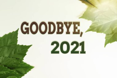 Writing displaying text Goodbye 2021. Concept meaning New Year Eve Milestone Last Month Celebration Transition Nature Conservation Ideas, New Environmental Preservation Plans clipart