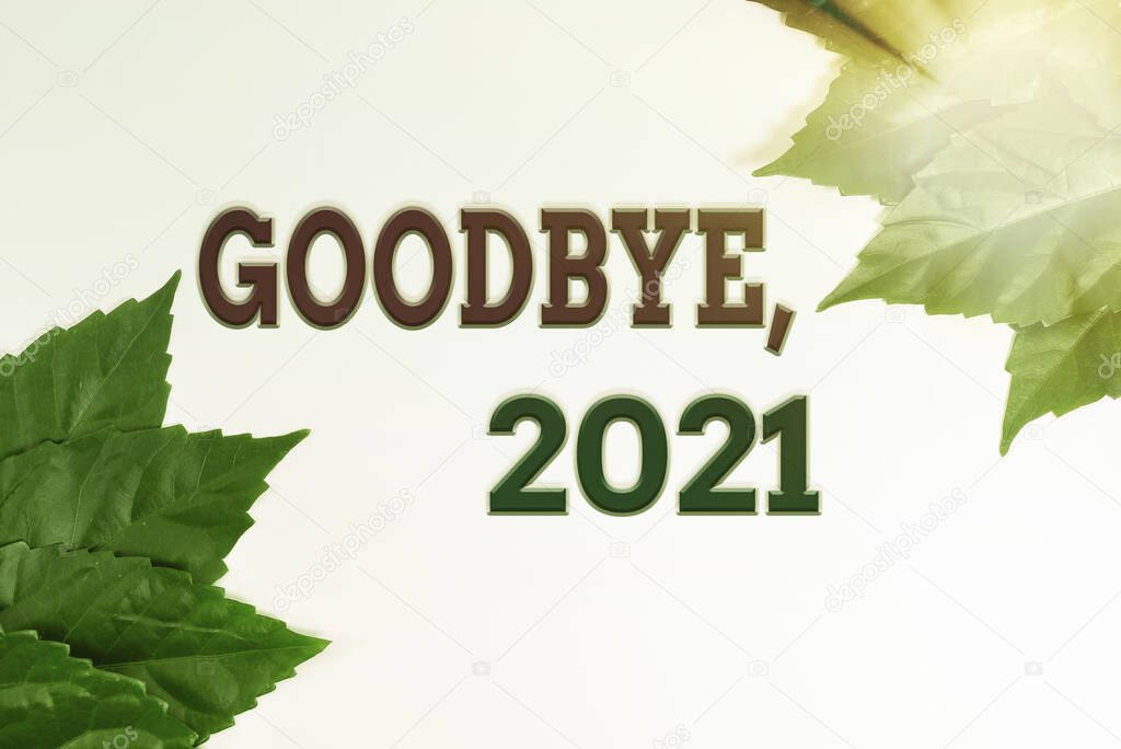 Writing displaying text Goodbye 2021. Concept meaning New Year Eve Milestone Last Month Celebration Transition Nature Conservation Ideas, New Environmental Preservation Plans