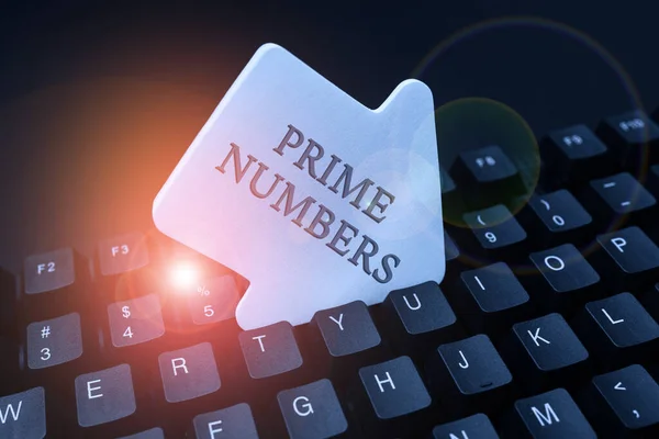 Visualizzazione concettuale Prime Numbers. Idea di business un intero positivo contenente i fattori di uno e se stesso Inserendo nuovi codici di programmazione, digitando storie brevi emotive — Foto Stock