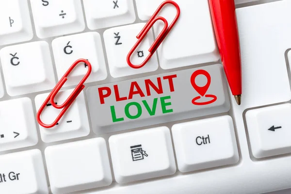 Conceptual caption Plant Love. Conceptual photo a symbol of emotional love, care and support showed to others Abstract Programmer Typing Antivirus Codes, Retyping Debug Codes — 图库照片