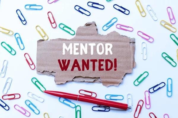 Inspirace ukazující nápis Mentor Wanted. Slovo pro nalezení někoho, kdo se dokáže sám řídit, aby dosáhl úspěchu Creative Home Recycling Ideas And Designs Concepts Trash To Cash Idea — Stock fotografie