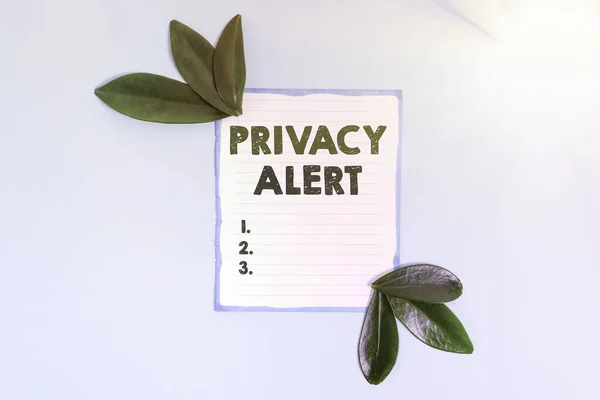 Conceptuele weergave Privacy Alert. Concept betekent waarschuwt de gebruiker voor het risico dat uw gegevens kan stelen Nature Theme Presentatie Ideeën en ontwerpen, Weergave van hernieuwbare materialen — Stockfoto